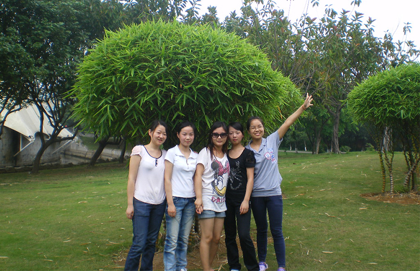 lorem ipsum dolor sit